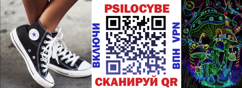 Псилоцибиновые грибы Psilocybe Райчихинск